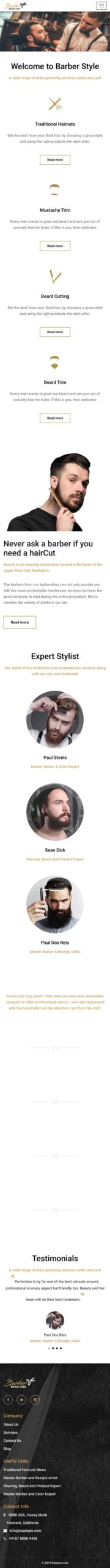 Website Demo Mobile
