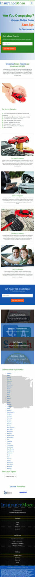 Website Demo Mobile