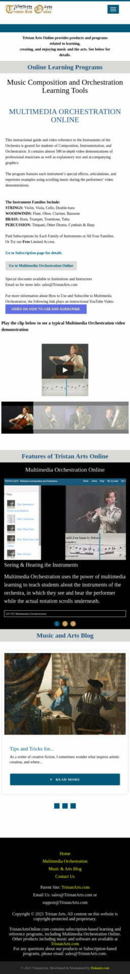 Website Demo Mobile