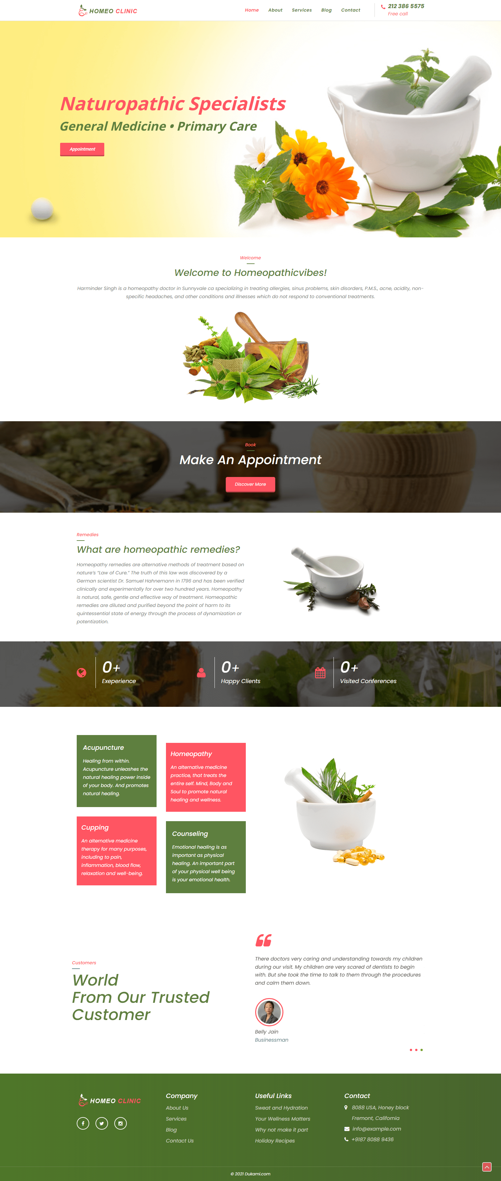 Website Demo Desktop