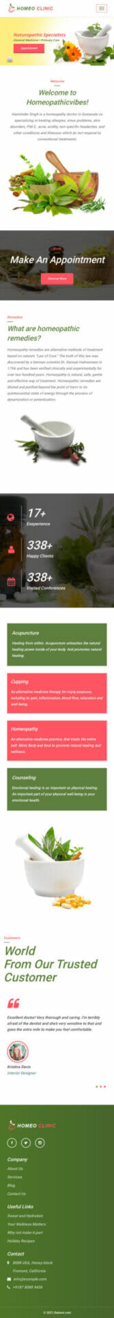 Website Demo Mobile