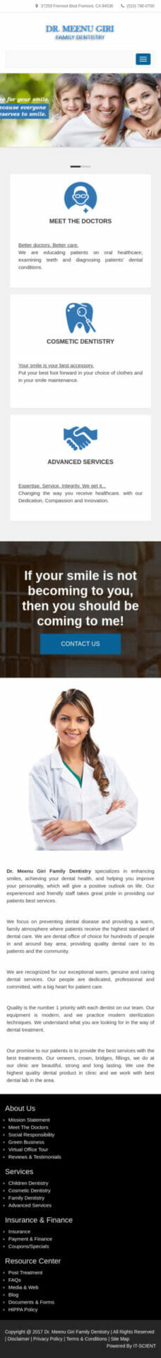 Website Demo Mobile