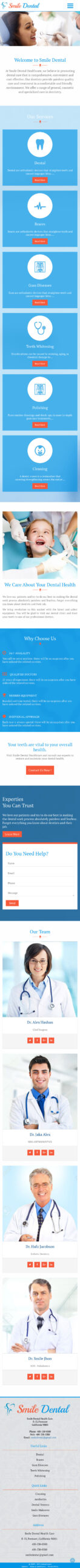 Website Demo Mobile