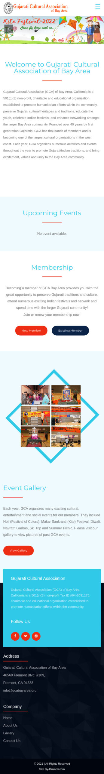 Website Demo Mobile