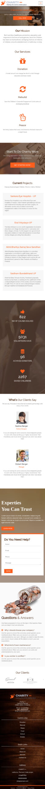 Website Demo Mobile