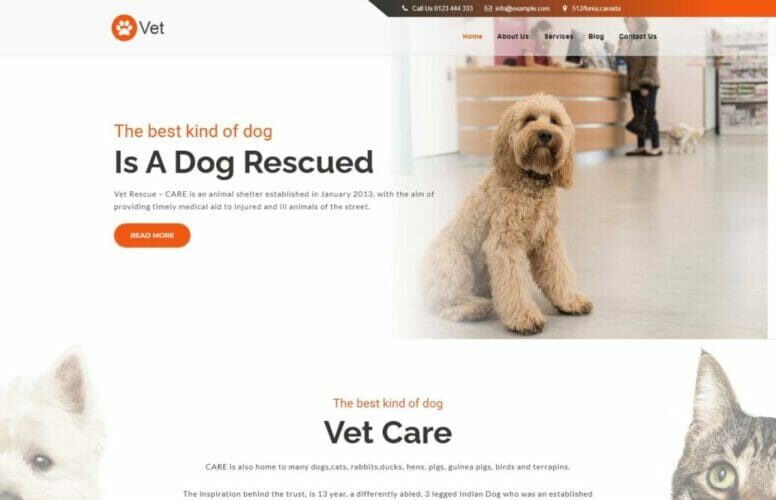 vet-1-desktop-view