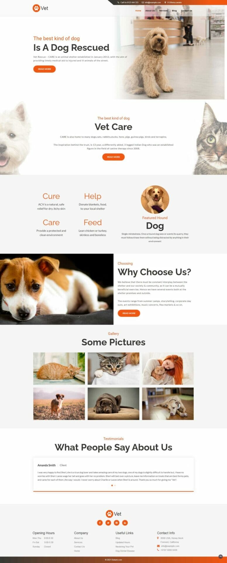Website Demo Desktop