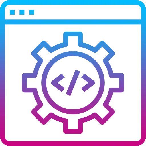 Custom Plugin & API Development