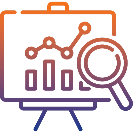 Customized SEO Strategies